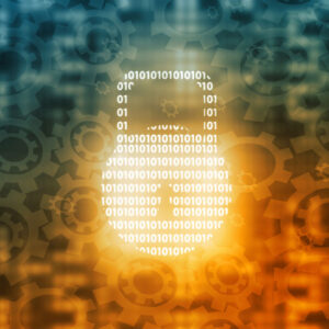 Privacy and Human Rights Violations in the Twenty-First Century
